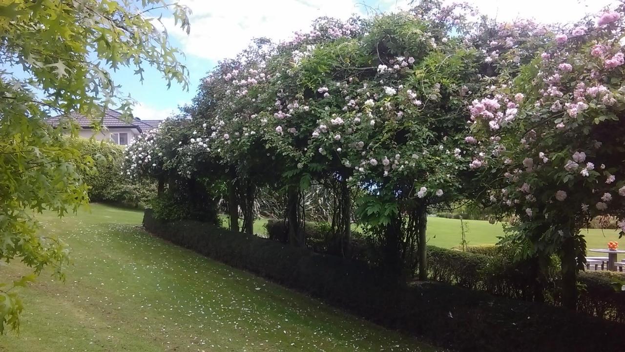 Shurinji Whanganui Exteriér fotografie